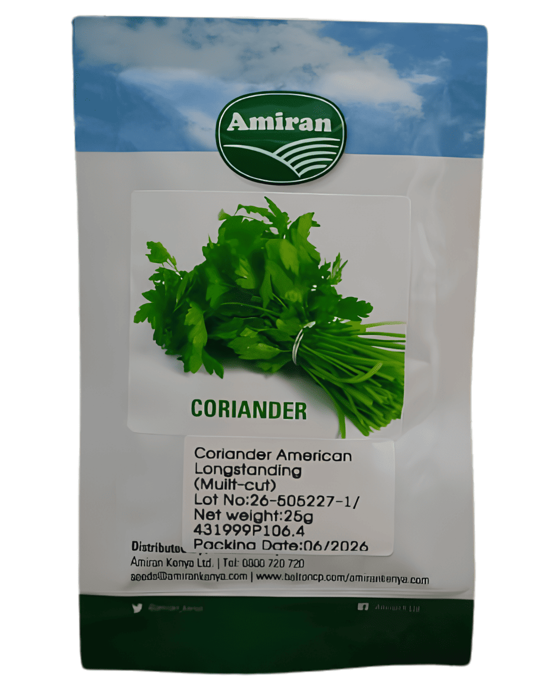 Coriander (Dania)