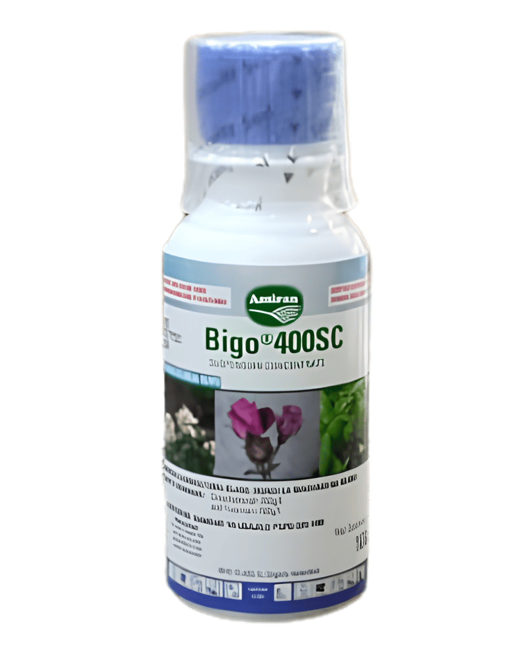 Bigo 400SC