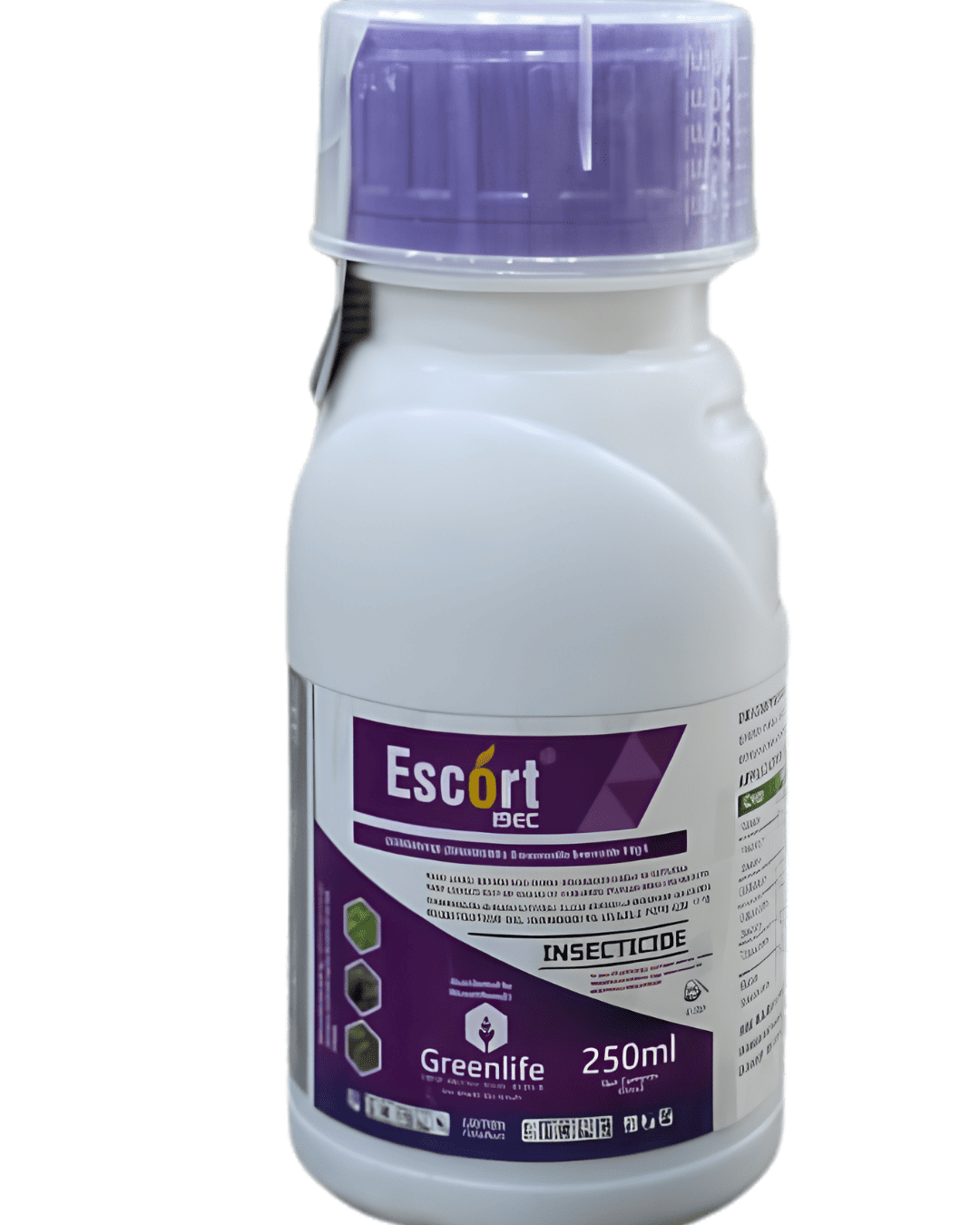 ESCORT 19 EC