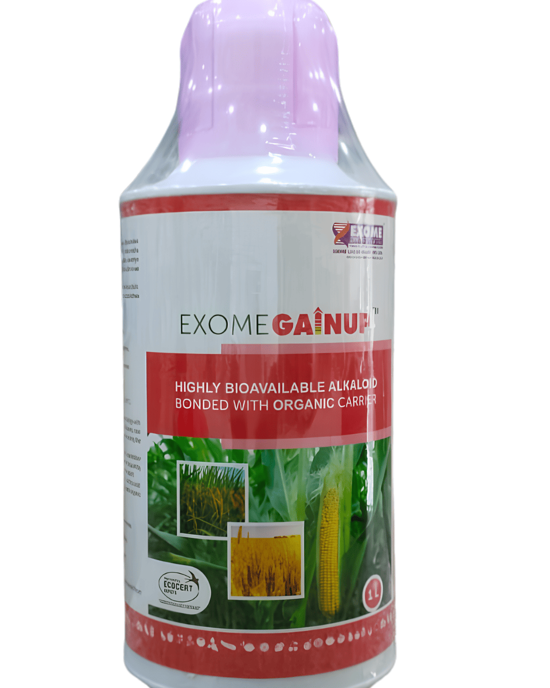 Exome – GainUp