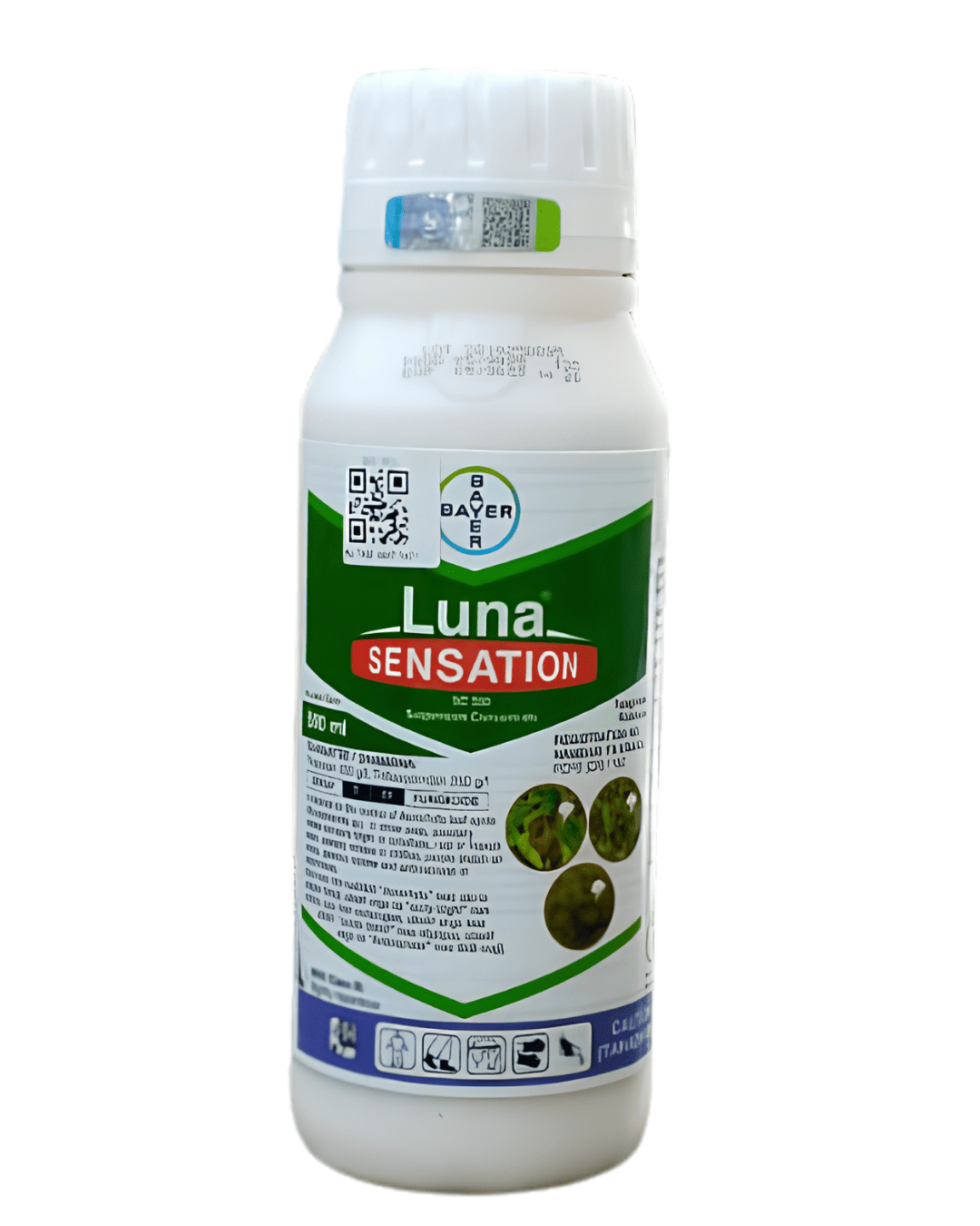 LUNA SENSATION