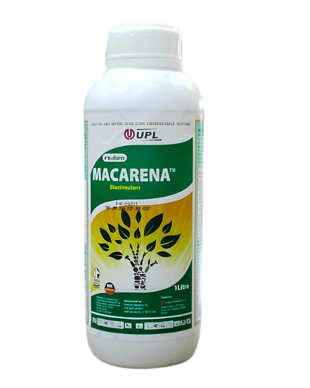MACARENA