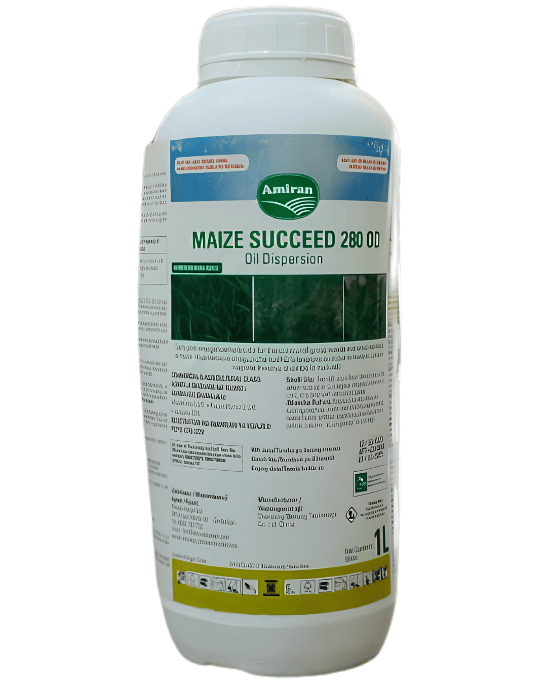 MAIZE SUCCEED 280 OD