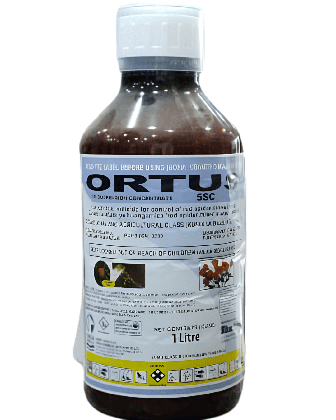 ORTUS 5 SC