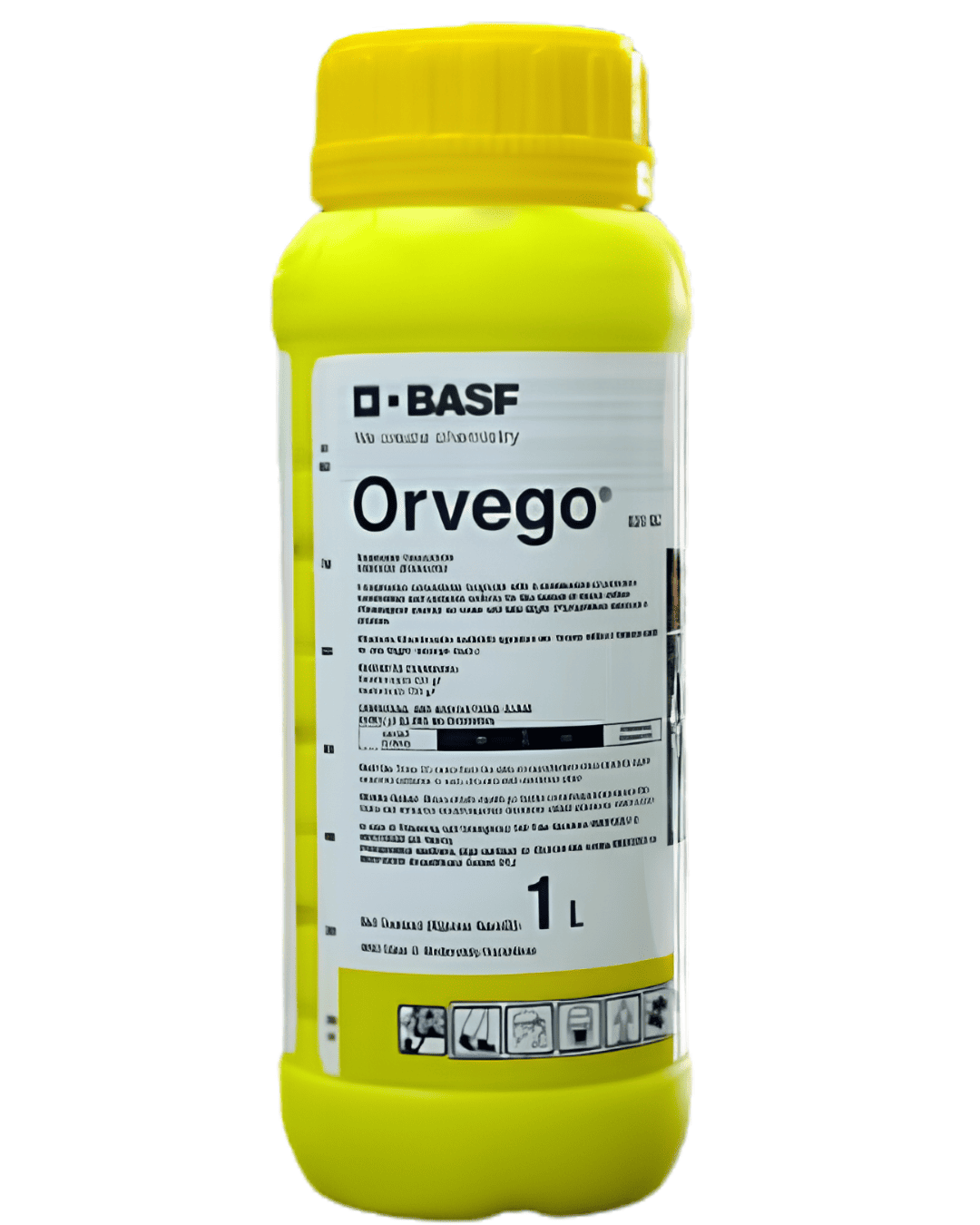 ORVEGO