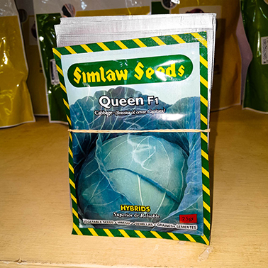 Queen f1 cabbage