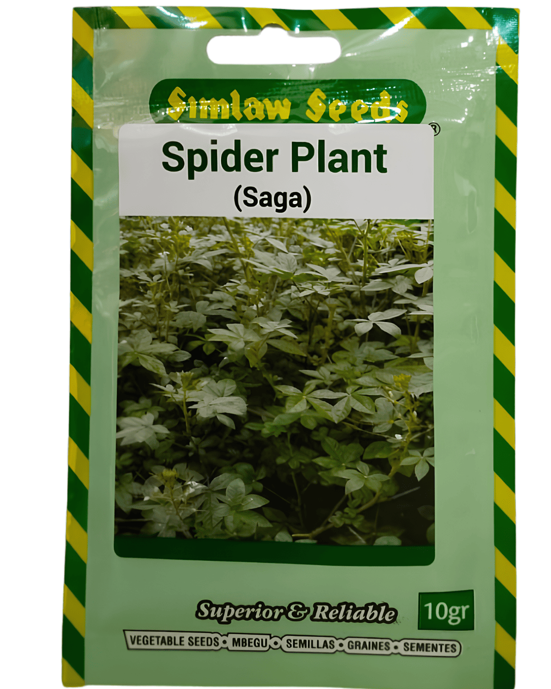 Simlaw Seeds – Spider Plant (Saga)