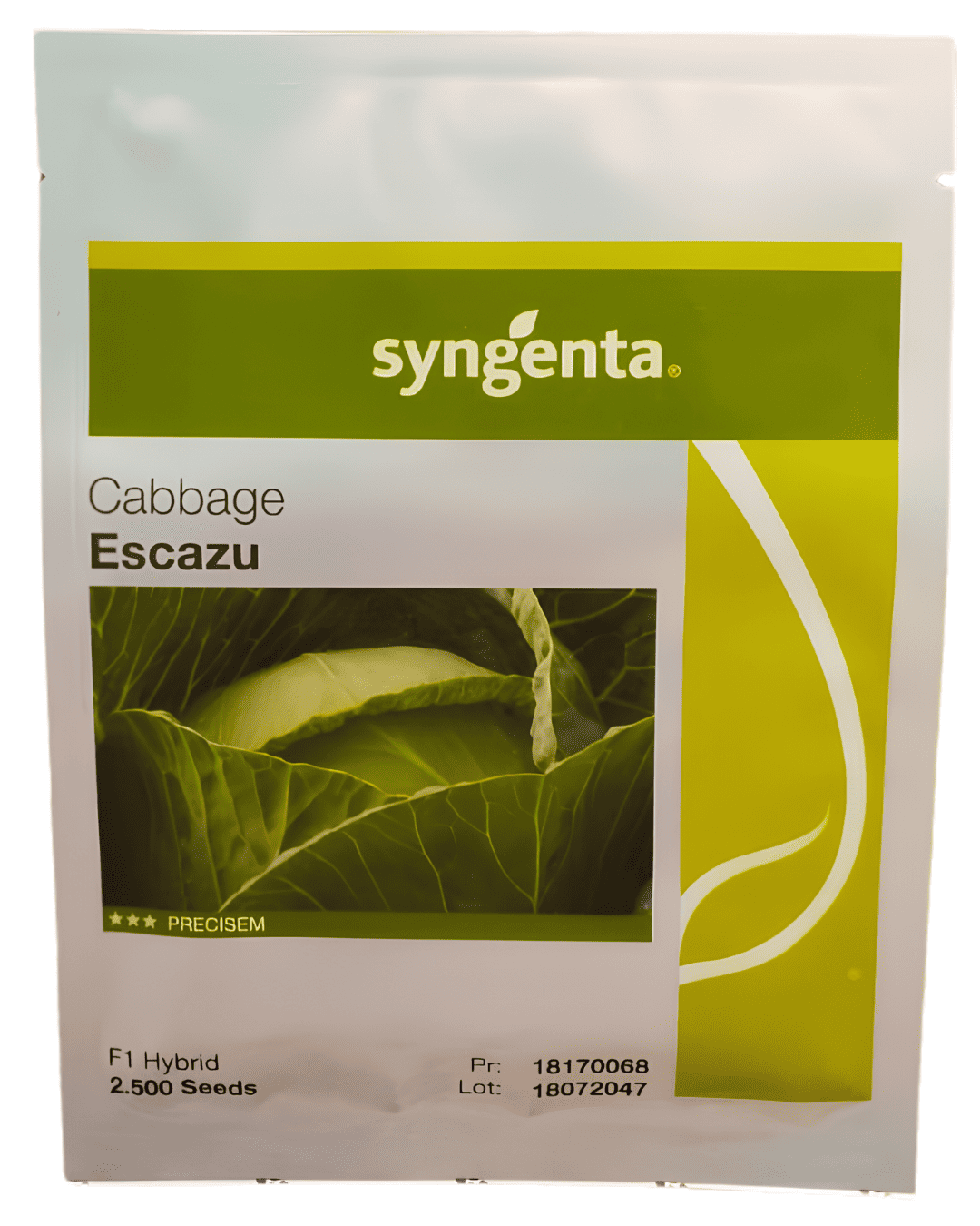Syngenta Cabbage – Escazu F1