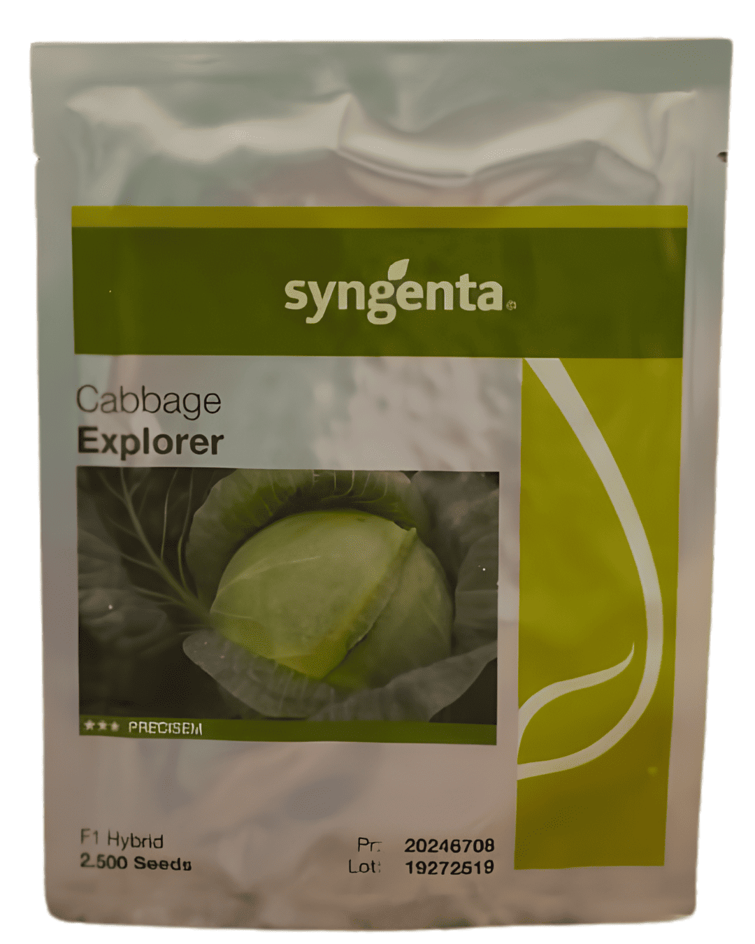 Syngenta Cabbage – Explorer F1