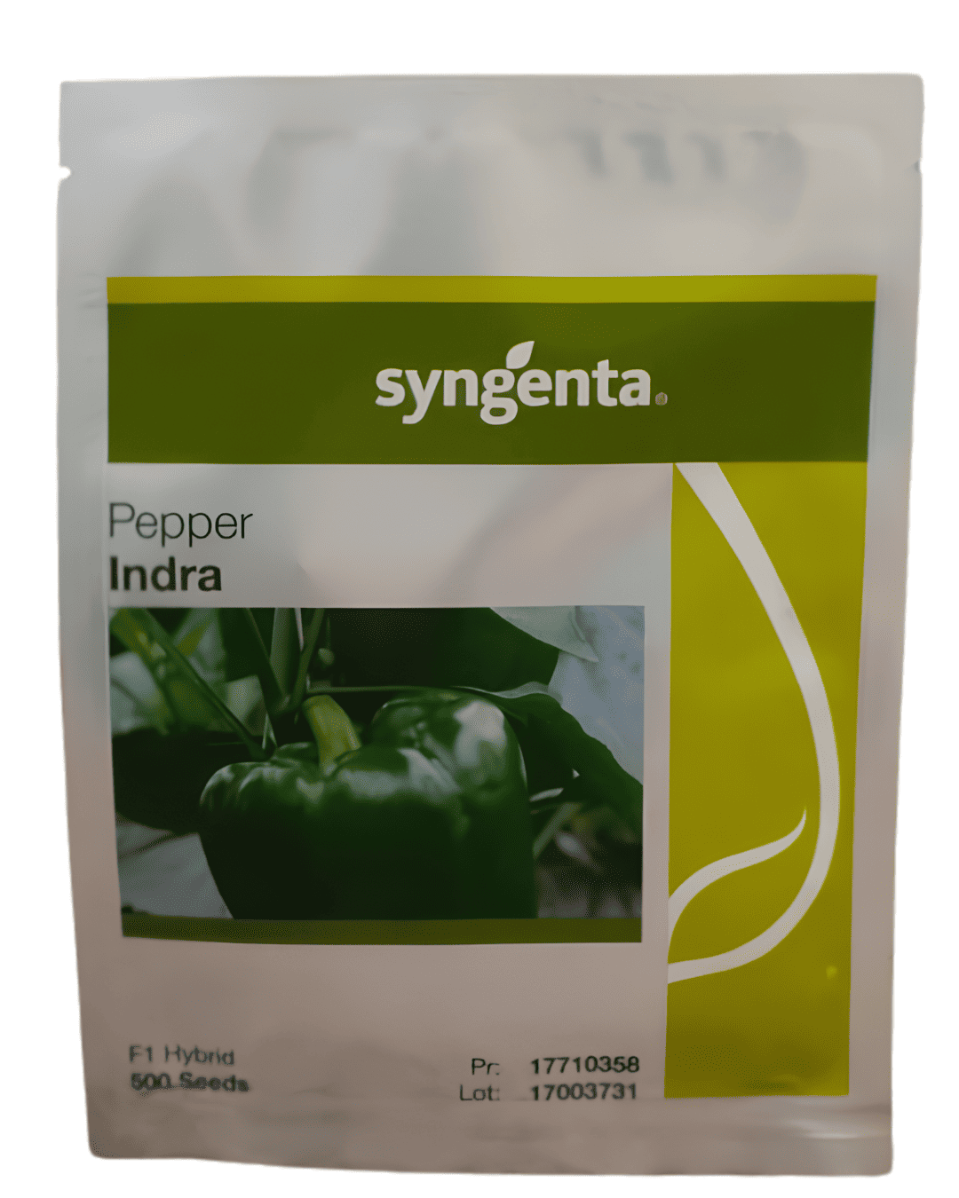 Syngenta Sweet Pepper – Indra F1