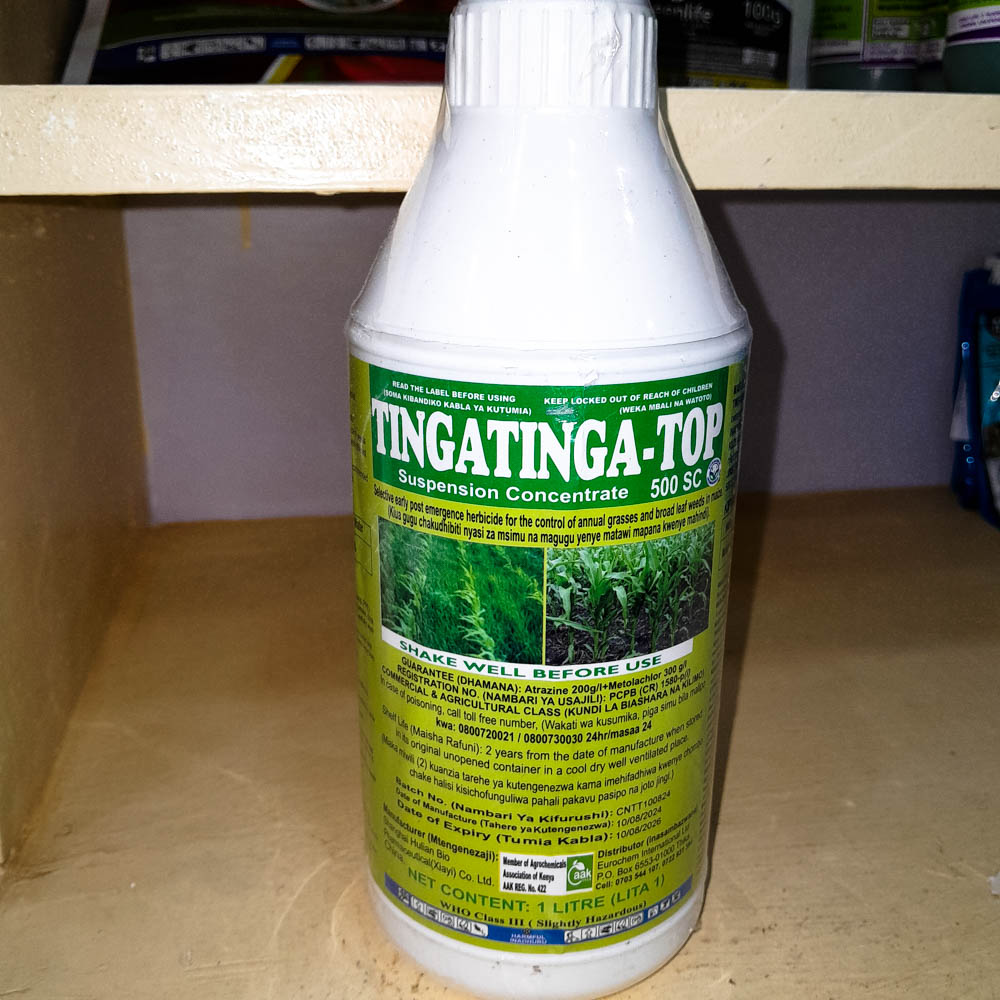 TINGATINGA-TOP