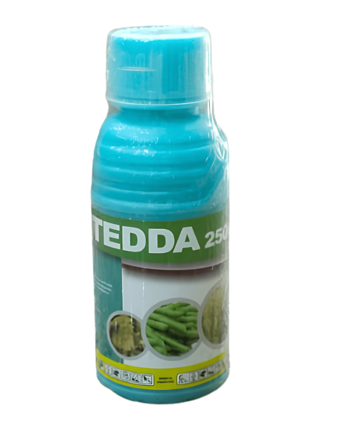 TEDDA 250 EC