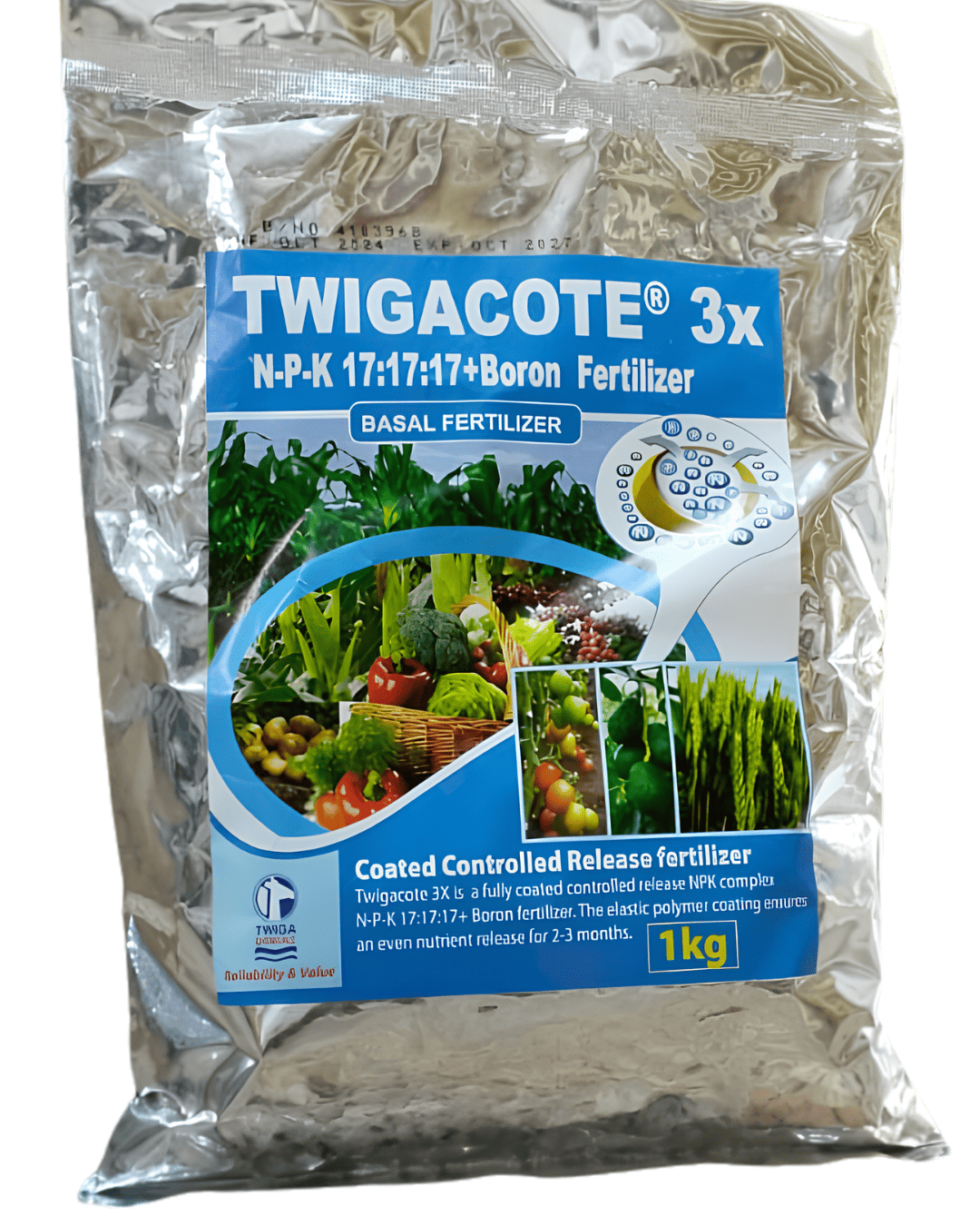 TWIGACOTE 3x