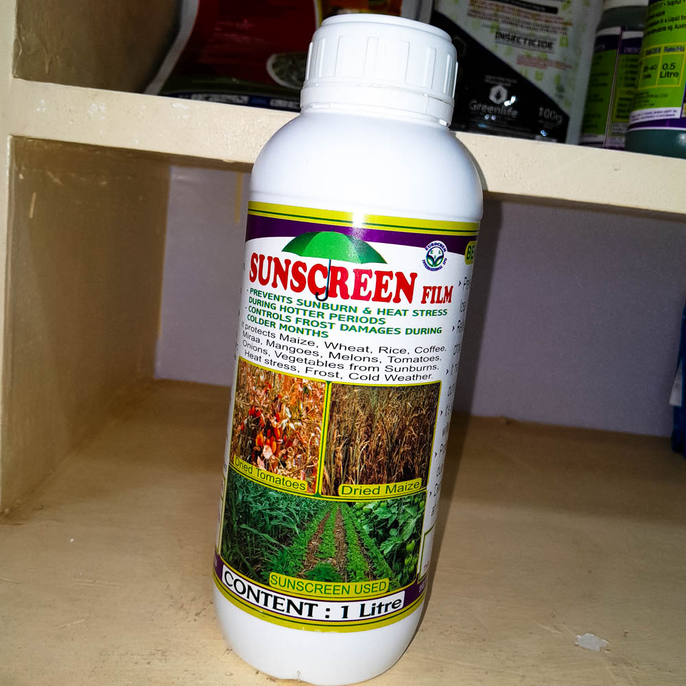 Sunscreen Film